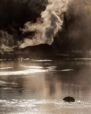 Ronan Donovan Instagram - Link in bio // Montana’s wildlife heritage is under serious threat at this time as a result of a series of bills being pushed through the Republican lead legislature. These bills relate to reducing Montana’s wolf population by 80%, legalizing, enacting a wolf bounty, wolf neck snares, blocking bison from future restoration, and more. There’s a link in my bio to a series of resources from press releases and how to contact Montana’s Governor and state politicians. These bills come from small private special interest groups in Montana and are not based upon science-based wildlife management. Hunters, anglers, wildlife watchers and citizens of Montana should be deeply concerned. ⁣
⁣
"Already they're being marginalized, diminished in number, deprived of habitat, leached of genetic vigor, constricted within insufficient refugia, extirpated here, extirpated there. One aspect of that trend is that they're becoming disconnected from Homo sapiens and⁣
we're becoming disconnected from them. Throughout our history as a species -- tens of millennia, hundreds of millennia, going on two million years -- we have tolerated the dangerous, problematic presence of big predators, finding roles for them within our emotional universe."
— David Quammen, Monster of God, 2003⁣
⁣
"I was young then, and full of trigger-itch; I thought that because fewer wolves meant more deer, that no wolves would mean hunters’ paradise. But after seeing the green fire die, I sensed that neither the wolf nor the mountain agreed with such a view.”⁣
— Aldo Leopold, A Sand County Almanac, 1949⁣
⁣
As self-centered modern humans, indeed we are still young. ⁣
⁣
