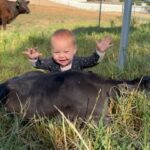 Ronda Rousey Instagram - Bonsai had a surprise for us this morning - meet Brisket! Here’s the cutest video ever recorded of Pō meeting our newest addition to @browseyacres