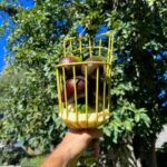 Ronen Rubinstein Instagram - Thank you 🥑🌳