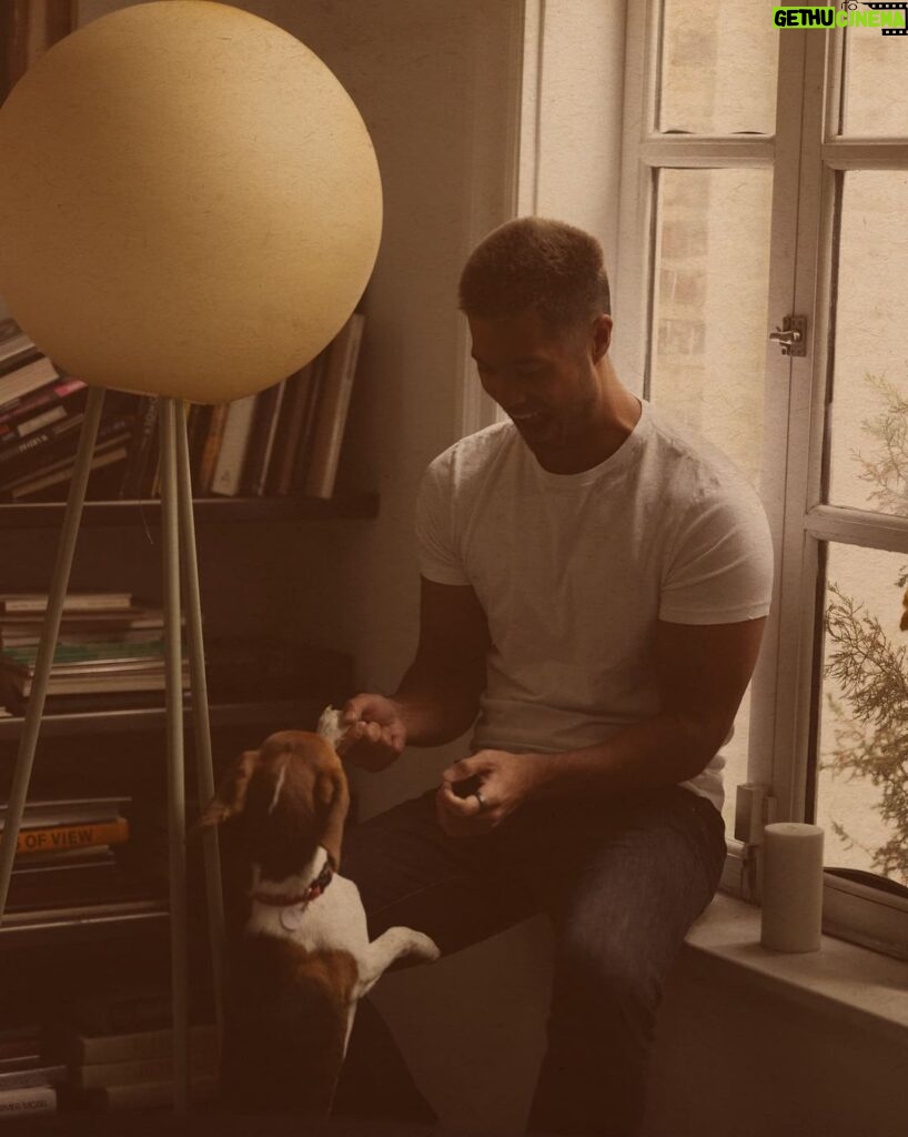 Ross Butler Instagram - Mr. Steal Your Dog 🥷🐕 📸: @kat_in_nyc Manhattan, New York