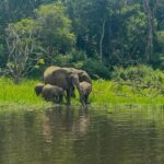 Ruth Righi Instagram – Next time, I have to see a leopard. (swipe to see a devious thief on my tent eating my roll of toilet paper for lunch) Murchison Falls National Park