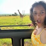 Ruth Righi Instagram - Next time, I have to see a leopard. (swipe to see a devious thief on my tent eating my roll of toilet paper for lunch) Murchison Falls National Park