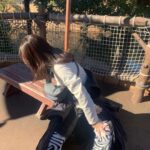 Ryo Sato Instagram - #ディズニーシー アルバム② 2枚目以降は要所要所で必ず行うストレッチタイム🦓⚡️ 寒い＆立ちっぱなしで全体が凝りました🌀 １枚目はキャラメルポップコーンを永遠に食べる私を(ひとりで2箱買った)爆笑しながら激写されたところ🍿🍿 みんなでダッフィー軍団(ジェラトーニ🐱🎨とシェリーメイ🐻🎀)を連れて帰ってきました🧸 午前中はカチューシャするのがあんなに恥ずかしかったのに、夜にはダッフィーをだっこして歩いてました…これがディズニーマジックかァ🪄💫✨ 次こそランドに行きたいと思います！ おしまい
