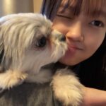 Ryo Sato Instagram - 本年も大変お世話になりました🐮 来年もどうぞよろしくお願いします🐯 年が明けてからインスタライブもやりますので、また集まってくれたら嬉しいです😊✨ 日程は改めてお知らせしますね📢💫 皆さまにとって来年も素晴らしい年になりますように🧡 　 ぶぶさま＆りょう