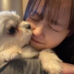 Ryo Sato Instagram - 本年も大変お世話になりました🐮 来年もどうぞよろしくお願いします🐯 年が明けてからインスタライブもやりますので、また集まってくれたら嬉しいです😊✨ 日程は改めてお知らせしますね📢💫 皆さまにとって来年も素晴らしい年になりますように🧡 　 ぶぶさま＆りょう