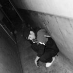Ryo Yokoyama Instagram - テーマは「お前そんなとこいたら化けの皮のストックにされるぞ」です。(嘘） 写真集、こんな感じでちょっといかつい？感じの写真も入れちゃいました。 3月20日発売予定になります。 よろしくお願い致します。 #ワニブックス #横山涼 #写真集 #りょう #横浜