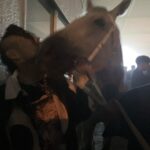 SANTAWORLDVIEW Instagram - 生で白馬を観ました🦙 毛並みが美しかった。少し眠そうだったけど。 つかどうやって写真に音源着けて投稿するん？🤔 誰か教えてくんね〜か🐼