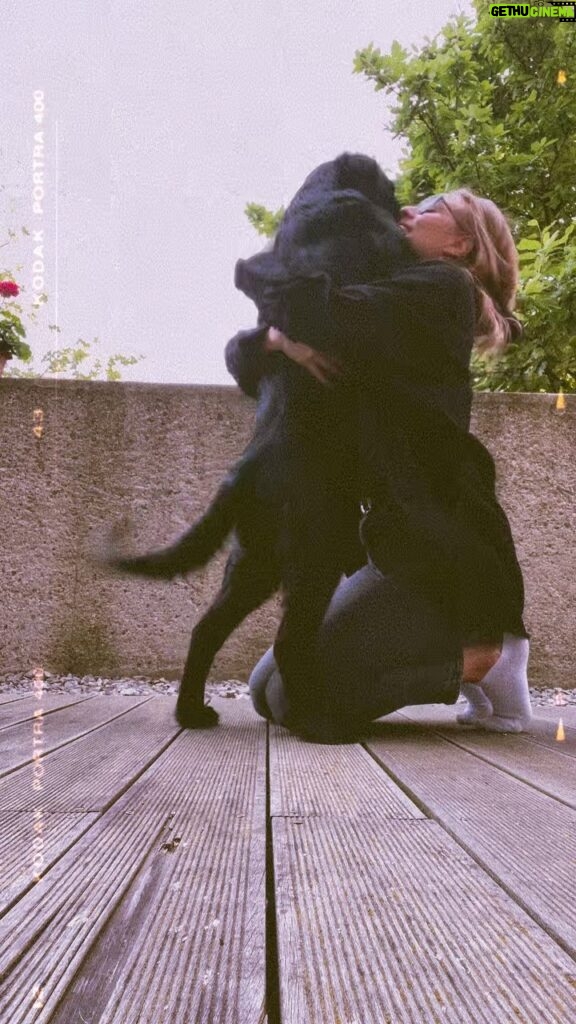 Sára Milfajtová Instagram - Puppy #flatcoatedretriever #shauntheflat #freehugs