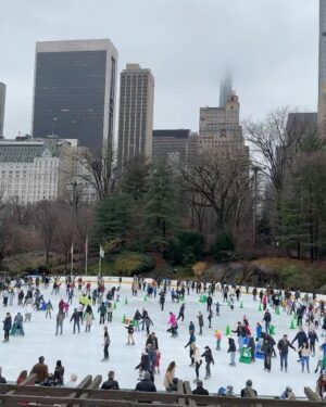 Sónia Araújo Instagram - Central Park, NYC 🥰
Very typical 
Já a regressar, mas como ainda tenho muitas fotos , vão ter a maçada de ainda levar com muitas pics 📸 de NYC 
Que sorte poder usufruir e proporcionar estes momentos à minha família!
E a minha mãe faz anos hoje!!!!! 🎂