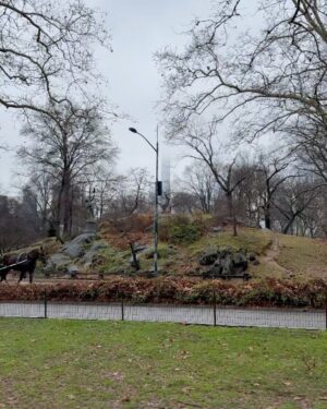Sónia Araújo Instagram - Central Park, NYC 🥰
Very typical 
Já a regressar, mas como ainda tenho muitas fotos , vão ter a maçada de ainda levar com muitas pics 📸 de NYC 
Que sorte poder usufruir e proporcionar estes momentos à minha família!
E a minha mãe faz anos hoje!!!!! 🎂