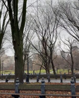 Sónia Araújo Instagram - Central Park, NYC 🥰
Very typical 
Já a regressar, mas como ainda tenho muitas fotos , vão ter a maçada de ainda levar com muitas pics 📸 de NYC 
Que sorte poder usufruir e proporcionar estes momentos à minha família!
E a minha mãe faz anos hoje!!!!! 🎂