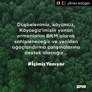 Safa Sarı Instagram - Düşbelenimiz, köyümüz, Köyceğiz'imizin yanan ormanlarını BKM olarak sahipleneceğiz ve yeniden ağaçlandırma çalışmalarına destek olacağız...

#İçimizYanıyor