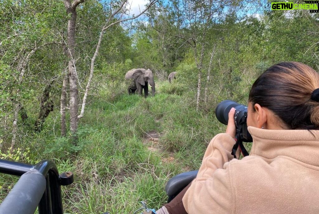 Salli Richardson-Whitfield Instagram - Merry Christmas from the motherland. @alldondre @parker.whitfield South Africa is a dream come true. #safari Johannesburg, South Africa