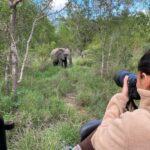 Salli Richardson-Whitfield Instagram - Merry Christmas from the motherland. @alldondre @parker.whitfield South Africa is a dream come true. #safari Johannesburg, South Africa