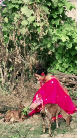 Sanchita Shahi Instagram - New song❤️