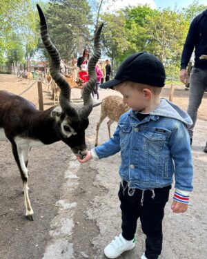 Sandra Parmová Instagram - 📍Zoo Györ #tipnavyletsdetmi 
Moc krásná interaktivní zoo, tak akorát velká, takže to i s menšími dětmi v pohodě zvládnete projít👌🏼 Krmení zvířátek všechny neskutečně bavilo a na nádherném hřišti se děti taky pořádně vyblbly. Z Brna jste tam za 2 hodinky 🚙, moc doporučujeme🤗❤️

#vylet #tip #tipprorodice #vyletsdetmi #zoo #zoogyor #madarsko #interaktivnizoo #dovca #zviratka #krmeni #nacestach #sdetmi #vsechnymojelasky #podleEmily @podle_emily @zoogyorofficial