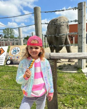 Sandra Parmová Instagram - 📍Zoo Györ #tipnavyletsdetmi 
Moc krásná interaktivní zoo, tak akorát velká, takže to i s menšími dětmi v pohodě zvládnete projít👌🏼 Krmení zvířátek všechny neskutečně bavilo a na nádherném hřišti se děti taky pořádně vyblbly. Z Brna jste tam za 2 hodinky 🚙, moc doporučujeme🤗❤️

#vylet #tip #tipprorodice #vyletsdetmi #zoo #zoogyor #madarsko #interaktivnizoo #dovca #zviratka #krmeni #nacestach #sdetmi #vsechnymojelasky #podleEmily @podle_emily @zoogyorofficial