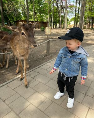 Sandra Parmová Instagram - 📍Zoo Györ #tipnavyletsdetmi 
Moc krásná interaktivní zoo, tak akorát velká, takže to i s menšími dětmi v pohodě zvládnete projít👌🏼 Krmení zvířátek všechny neskutečně bavilo a na nádherném hřišti se děti taky pořádně vyblbly. Z Brna jste tam za 2 hodinky 🚙, moc doporučujeme🤗❤️

#vylet #tip #tipprorodice #vyletsdetmi #zoo #zoogyor #madarsko #interaktivnizoo #dovca #zviratka #krmeni #nacestach #sdetmi #vsechnymojelasky #podleEmily @podle_emily @zoogyorofficial