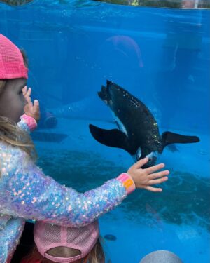 Sandra Parmová Instagram - 📍Zoo Györ #tipnavyletsdetmi 
Moc krásná interaktivní zoo, tak akorát velká, takže to i s menšími dětmi v pohodě zvládnete projít👌🏼 Krmení zvířátek všechny neskutečně bavilo a na nádherném hřišti se děti taky pořádně vyblbly. Z Brna jste tam za 2 hodinky 🚙, moc doporučujeme🤗❤️

#vylet #tip #tipprorodice #vyletsdetmi #zoo #zoogyor #madarsko #interaktivnizoo #dovca #zviratka #krmeni #nacestach #sdetmi #vsechnymojelasky #podleEmily @podle_emily @zoogyorofficial