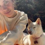 Sara Sampaio Instagram - It’s this angel’s 15th birthday today. 🥹 even though I’ve only been her adoptive mum for these past 5 years, she has brought some much joy to my life that I can’t imagine a life without her in it anymore. I’d never heard of Shiba Inu’s before I met Kyta and south, but let me tell you, it’s def been a ride. They couldn’t be more different than each other. While south is super anxious and naughty, Kyta is just the perfect dog, always doing everything right and just being the most people pleasing dog I’ve ever met, that sometimes I wonder if she’s def a shiba or a dog for that matter 😅. She loves her walks, sunbathing in the backyard, bossing everyone around and snuggling. She the sweetest snuggle buddy and even though she’s pretty much deaf and blind she still walks around like she’s the boss (well she is, I’m just the keeper that pays the bills to her house 😂) Happy birthday sweet girl, I love you so much. I’ll make sure aunt @emmalindsey gives you some cake today 🤍❤️