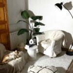 Sara Vidorreta Instagram - La primera burger en nuestro nuevo salón + mis dos pequeños dando amor 🫠🫠🫠 ¿Os gusta cómo han quedado los muebles de @beliani.espana :):)? #beliani #homedecor #aesthetics #tumblrgirl #burgerporn #catsofinstagram #lareinadelsur #lrds Madrid, Spain