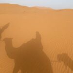 Sara Vidorreta Instagram - Pasar una noche en el desierto fue increíble 🫠🫠🫠 Aunque lo mejor es mi madre comentando todos los vídeos jajajaj • • • #desierto #merzouga #marruecos #camello #lareinadelsur #lrds #lrds3 #vampi #vampire #rocioaljarafe #saravidorreta #series #netflix #telemundo Merzouga - Sahara Desert Morocco
