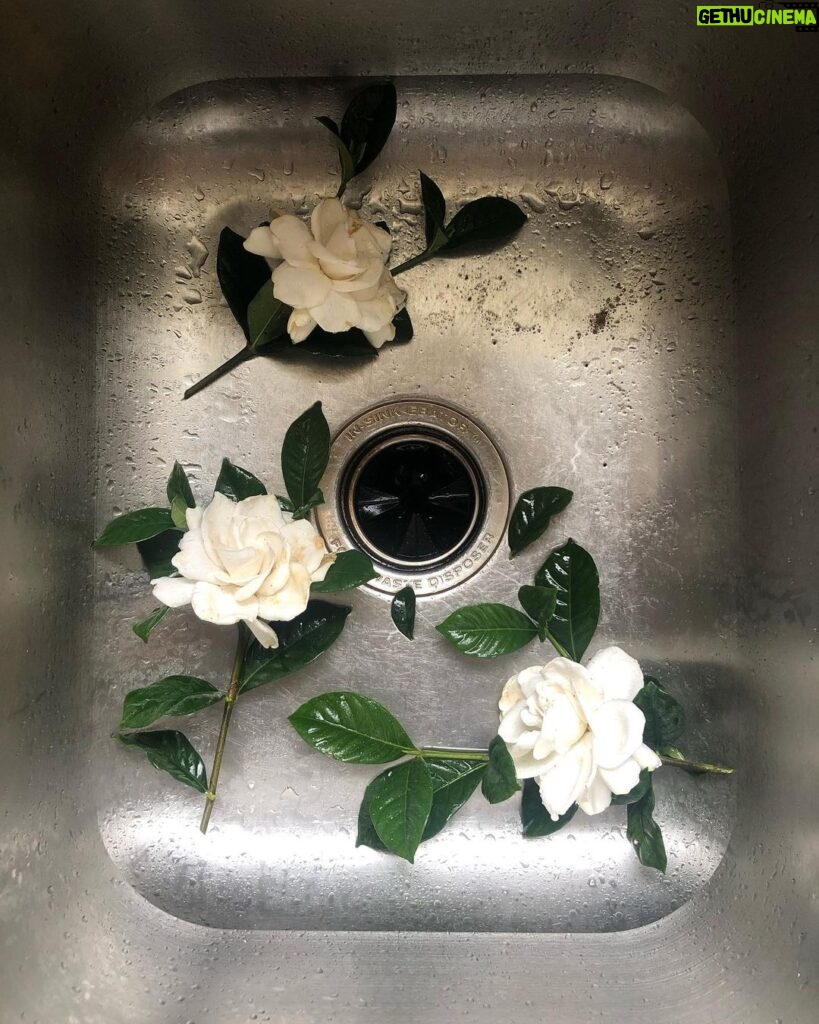 Sarah Catherine Hook Instagram - spring cleaning ☀️