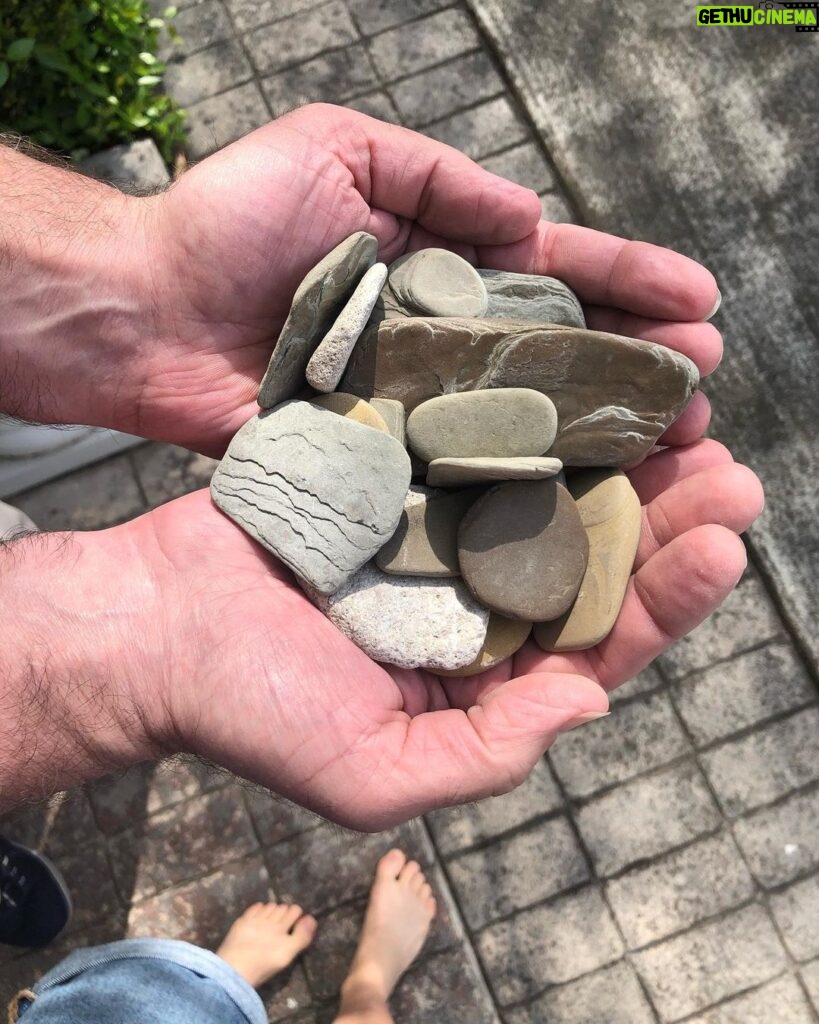 Sarah Catherine Hook Instagram - Fun fact: I used to have a sick rock collection. Hampton brought home these beauts from Lake Michigan (don’t worry they have been disinfected - including my father) and I’m thinking of picking back up that old hobby 🤓
