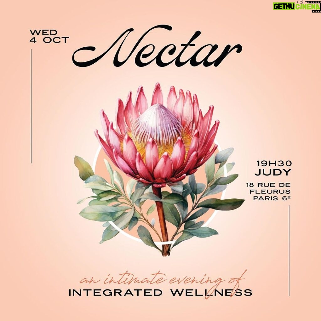 Sarah Wilson Instagram - EVENT 🌸 Wednesday 4th Oct 7:30pm - JUDY, 18 rue de Fleurus, Paris 6e ☀️ A news series championing integrated wellness. Inspiring conversation, mindful rituals and qualitarian food & wine. This month’s special guest speakers : @_sarahwilson_ and @dominiquegassin Interviewed by @jennidawes 🌿 Nectar’s EVENT, price: 37€ ☀️ Judy restaurant, 18 rue de Fleurus, 75006 💛 Wednesday 4th, 7:30 pm Tickets & Full Details -> www.creativemonastery.co #WellnessTalk #eventparis #HealthyLiving #Judyrestaurant #Paris6e #QualitarianFood#paris6 #visitparis #instaparis #pariscity #foodparis #jardinduluxembourg #healthyparis #restaurantparis6 #sansgluten #glutenfree #restaurantceliac #restaurantparis #foodparis #parisguide #healthyparis #épiceriehealthy #healthyparis Judy, cantine qualitarienne