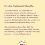 Sarah Wilson Instagram - I’ve written a rant: DON’T JUST VOTE YES, Voice up! The full thing is in bio and stories. We need to take down Dutton et al's misinformation campaign. We can’t be a nation that wakes up on Oct 15 to the news that we were duped by lies! Link to the full @substackinc post in stories and bio. #yes23 @yes23au @f_yes23 #voteyes #yes23