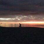Scott Eastwood Instagram - Throwback few years ago drove down the entire Baja peninsula One of the lost beautiful places on the planet. 🌵 ☀️ 🐕 🌊