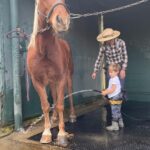 Scott Eastwood Instagram - rollin', rollin', rollin' Keep them dogies rollin', rawhide