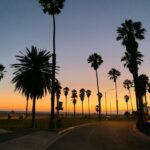 Sean Carrigan Instagram - Los Angeles, California