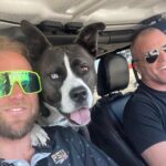 Sean Carrigan Instagram - This dog knows he’s funny. #Jack @thegbud