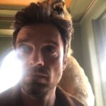 Sebastian Stan Instagram - Sunday. Should be good