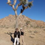 Seika Furuhata Instagram - ⠀ #joshuatree LAの国立公園🌿 都心から車で2時間?ぐらいかかるけど、 見た事ない景色で来た甲斐ありすぎたぁ🥹✨✨✨ LAでの運転も慣れたしまたここは絶対に行きたいスポット🫶 #la#ジョシュアツリー#ootd Joshua Tree National Park