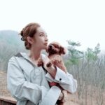 Seo Yeong Instagram - 밤샘촬영할 때도, 결혼, 임신, 출산할 때도, 그리고 현재 육아중일때도... 계속 혼자 기다리라고만 하게 되는 우리 김말리🐶 나랑 둘이 살다가 식구가 넷이 되어버린 사이 우리 말리도 많이 늙었어ㅠ 11년째 내 인생의 모든 일상과 순간, 이벤트에도 늘 옆에 있어주는 우리 말리 너무 고맙고 많이 미안해ㅠ 겨울이면 산장까지 와서 제대로 쉬지도 못하지만 그래도 혼자두는것보단 함께 하자😍 눈이 아닌 비가 와서 무서워하는 김말리는 내가, 오늘따라 유난히 칭얼대는 신소이는 남편이 마크! 비오는 겨울산장은 좀 스산하네ㅠ #familytime #goodnight Jisan Forest Ski Resort, 지산포레스트리조