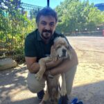 Serdar Çakmak Instagram - Bedbaht 🐶 Kadıköy Hayvan Barınak Merkezi