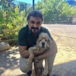 Serdar Çakmak Instagram - Bedbaht 🐶 Kadıköy Hayvan Barınak Merkezi