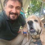 Serdar Çakmak Instagram - Bedbaht 🐶 Kadıköy Hayvan Barınak Merkezi