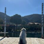 Serkan Altunorak Instagram - Sevgili Kaan, Ezgi, Erkut ve Yılmaz bana otelinizin kapılarını açtığınız ve yedi ay boyunca evimden daha çok evimdeymiş gibi hissettirdiğiniz için hepinize ayrı ayrı teşekkür ederim… İskelenizi spor salonuna çevirdiğim, buzdolabınızı sadece sağlıklı yiyeceklerle doldurduğum ve her sabah smoothie yaparken çıkardığım ses için tekrar kusura bakmayın, çok özleneceksiniz:)))… @supselimiye bir harikaydı, en güzel anılarda yerini aldı..❤️ S.U.P Selimiye