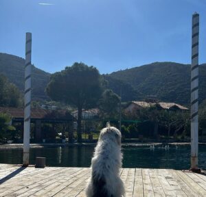 Serkan Altunorak Instagram - Sevgili Kaan, Ezgi, Erkut ve Yılmaz bana otelinizin kapılarını açtığınız ve yedi ay boyunca evimden daha çok evimdeymiş gibi hissettirdiğiniz için hepinize ayrı ayrı teşekkür ederim… İskelenizi spor salonuna çevirdiğim, buzdolabınızı sadece sağlıklı yiyeceklerle doldurduğum ve her sabah smoothie yaparken çıkardığım ses için tekrar kusura bakmayın, çok özleneceksiniz:)))… @supselimiye bir harikaydı, en güzel anılarda yerini aldı..❤️