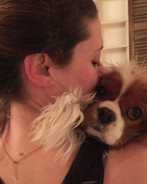 Seth Rogen Instagram - We said goodbye to our perfect girl Zelda on Thursday, May 4th. She was almost 14 years old. She was truly the most special, magical creature. She taught us about love, resilience, strength and kindness. We loved her more than words can describe. Everyone who met her saw what a unique little puppy she was. She’d stare in to your soul with her gigantic buggy eyes. She was so judgmental, that when she loved you, you really knew you earned it, and it made you feel like you had won.
She had an incredible life and was lucky to have so many friends and shared her special love with so many people. She was a girl who was so shy no one adopted her as a baby who became a girl who travelled to multiple countries, appeared in three movies, on two magazine covers, and inspired countless works of Zelda-art— including a lighter that is now in the homes of hundreds of people. 
We have a (long) list of things that were special about her. Here are a few highlights:
—Her big eyeballs and her intense eye contact
—How it feels when she stretches while I’m holding her in my arms
—How she comes inside before she’s done pooing, takes a treat and then runs to the door when she realizes she has to poo more
—The sound she made for Zankou chicken. 
—The way the fur on her legs looks like culottes from the back
—Her leave me alone side eye 
—The way she would sit and wait to be called to walk through the metal detectors at the airport and then she’d run through them and everyone would comment about what a good girl she was
—How she always wants to sleep in Seth’s spot
—When she would go to the door pretending to have to go out, but just wanted to get us away from our food, although she would never actually go for it 
—Her big gigantic poops that always surprised people because of her small size 
—The way she loved sprinting up and down hotel hallways 
—How she’d ask Seth to take her outside over and over again just for treats 
—The way she pounced on seaweed and her paws left tracks in the sand. And then she’d “kill it” and ask to take it home. 
—How incredible it felt to wake up in the morning and see her starring back at me.
We belonged to each other and we will miss her forever.