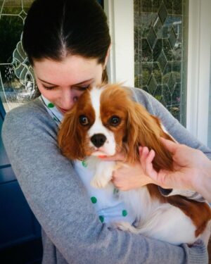 Seth Rogen Instagram - We said goodbye to our perfect girl Zelda on Thursday, May 4th. She was almost 14 years old. She was truly the most special, magical creature. She taught us about love, resilience, strength and kindness. We loved her more than words can describe. Everyone who met her saw what a unique little puppy she was. She’d stare in to your soul with her gigantic buggy eyes. She was so judgmental, that when she loved you, you really knew you earned it, and it made you feel like you had won.
She had an incredible life and was lucky to have so many friends and shared her special love with so many people. She was a girl who was so shy no one adopted her as a baby who became a girl who travelled to multiple countries, appeared in three movies, on two magazine covers, and inspired countless works of Zelda-art— including a lighter that is now in the homes of hundreds of people. 
We have a (long) list of things that were special about her. Here are a few highlights:
—Her big eyeballs and her intense eye contact
—How it feels when she stretches while I’m holding her in my arms
—How she comes inside before she’s done pooing, takes a treat and then runs to the door when she realizes she has to poo more
—The sound she made for Zankou chicken. 
—The way the fur on her legs looks like culottes from the back
—Her leave me alone side eye 
—The way she would sit and wait to be called to walk through the metal detectors at the airport and then she’d run through them and everyone would comment about what a good girl she was
—How she always wants to sleep in Seth’s spot
—When she would go to the door pretending to have to go out, but just wanted to get us away from our food, although she would never actually go for it 
—Her big gigantic poops that always surprised people because of her small size 
—The way she loved sprinting up and down hotel hallways 
—How she’d ask Seth to take her outside over and over again just for treats 
—The way she pounced on seaweed and her paws left tracks in the sand. And then she’d “kill it” and ask to take it home. 
—How incredible it felt to wake up in the morning and see her starring back at me.
We belonged to each other and we will miss her forever.