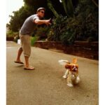 Seth Rogen Instagram - We said goodbye to our perfect girl Zelda on Thursday, May 4th. She was almost 14 years old. She was truly the most special, magical creature. She taught us about love, resilience, strength and kindness. We loved her more than words can describe. Everyone who met her saw what a unique little puppy she was. She’d stare in to your soul with her gigantic buggy eyes. She was so judgmental, that when she loved you, you really knew you earned it, and it made you feel like you had won. She had an incredible life and was lucky to have so many friends and shared her special love with so many people. She was a girl who was so shy no one adopted her as a baby who became a girl who travelled to multiple countries, appeared in three movies, on two magazine covers, and inspired countless works of Zelda-art— including a lighter that is now in the homes of hundreds of people. We have a (long) list of things that were special about her. Here are a few highlights: —Her big eyeballs and her intense eye contact —How it feels when she stretches while I’m holding her in my arms —How she comes inside before she’s done pooing, takes a treat and then runs to the door when she realizes she has to poo more —The sound she made for Zankou chicken. —The way the fur on her legs looks like culottes from the back —Her leave me alone side eye —The way she would sit and wait to be called to walk through the metal detectors at the airport and then she’d run through them and everyone would comment about what a good girl she was —How she always wants to sleep in Seth’s spot —When she would go to the door pretending to have to go out, but just wanted to get us away from our food, although she would never actually go for it —Her big gigantic poops that always surprised people because of her small size —The way she loved sprinting up and down hotel hallways —How she’d ask Seth to take her outside over and over again just for treats —The way she pounced on seaweed and her paws left tracks in the sand. And then she’d “kill it” and ask to take it home. —How incredible it felt to wake up in the morning and see her starring back at me. We belonged to each other and we will miss her forever.