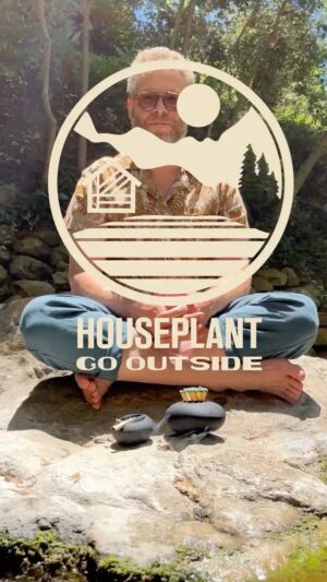 Seth Rogen Instagram - This and more things that are good for smoking weed while sitting on things available at Houseplant.com