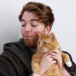Shane Dawson Instagram - filmed a video for morgan’s channel (comin soon) and she sent me these screenshots. it really sums up my life as a mother.