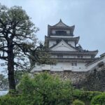 Shane Veryzer Instagram - Fun in the sun checking out a possible new crib in Kochi 😉 Kōchi Castle