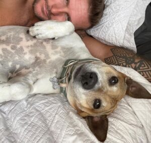 Shane Veryzer Instagram - Moeiversary
#rescuedog #moemoebear