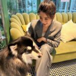 Shang-Fei Wang Instagram - 你怎麼這麼可愛🐶